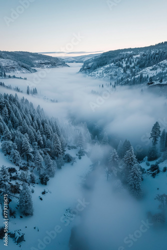 Drone photo of a foggy valley in Oregon in winter