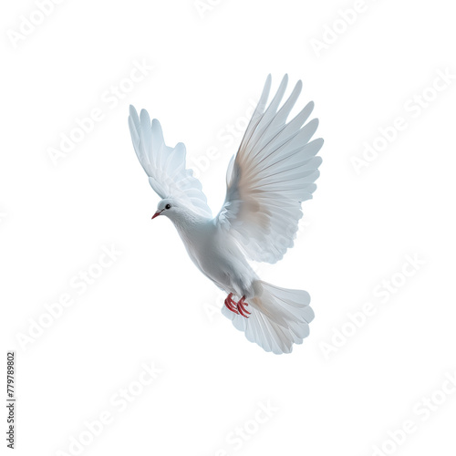 Elegant White Dove in Flight Against Transparent Background
