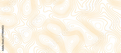 Abstract Light brown paper curved reliefs background .Panorama view gradient multicolor wave curve lines banner background design. Vector illustration. wave Line topography map contour background. photo