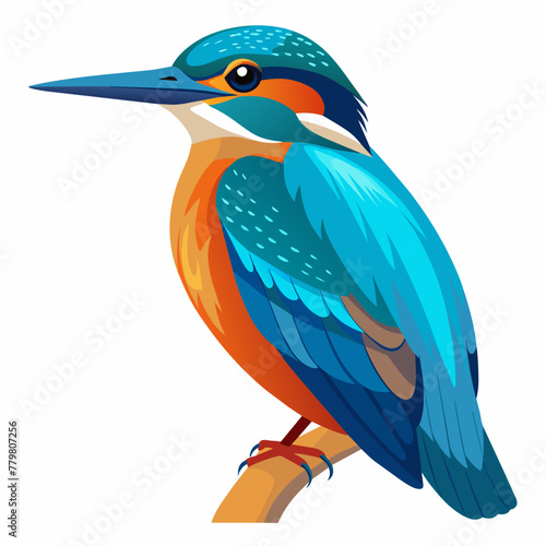 common-kingfisher--full-length--animal-of-asia--on