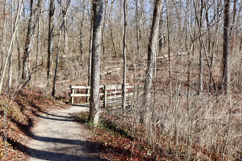 The wood footbridge in the forest on a sunny winter day. The wood footbridge in the forest on a sunny winter day.