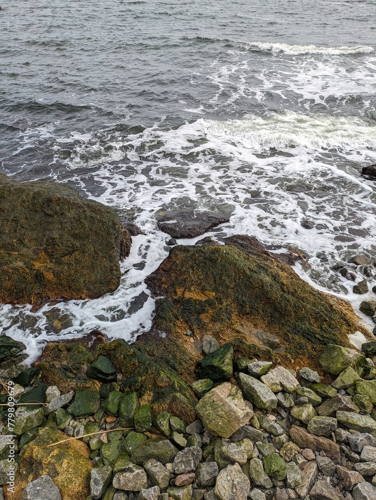 rocks in the water rocks in the water