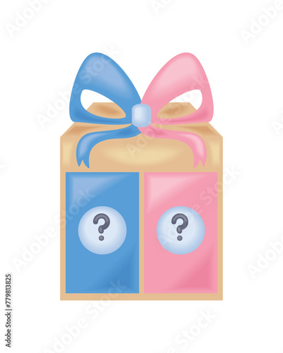 gender reveal gift box