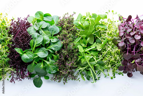 Healthy nature different baby microgreen on the white background. Organic superfood lifestyle concept. 