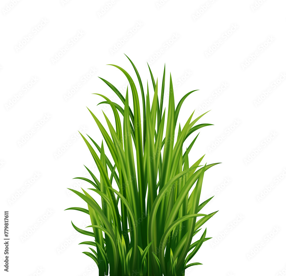 Fresh realistick green grass. Fresh herb: natural, organic, bio, eco label. Fresh realistick green grass. Fresh herb: natural, organic, bio, eco label.