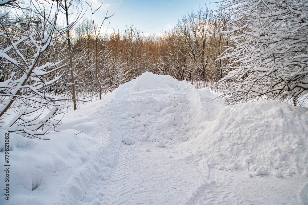 A pile of snow removed from the road in the park. The result of the work of municipal services. A pile of snow removed from the road in the park. The result of the work of municipal services.