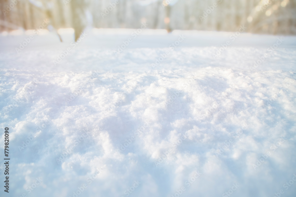 Close-up of snow. Template with empty snow surface in the park. Trees in blur in the background. Close-up of snow. Template with empty snow surface in the park. Trees in blur in the background.