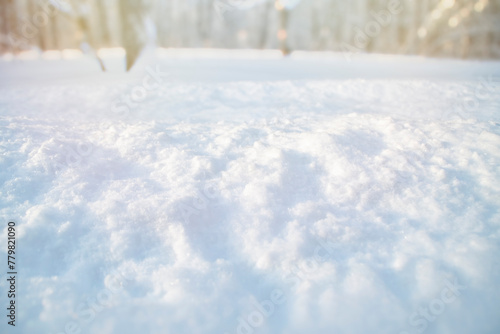 Wallpaper Mural Close-up of snow. Template with empty snow surface in the park. Trees in blur in the background. Torontodigital.ca