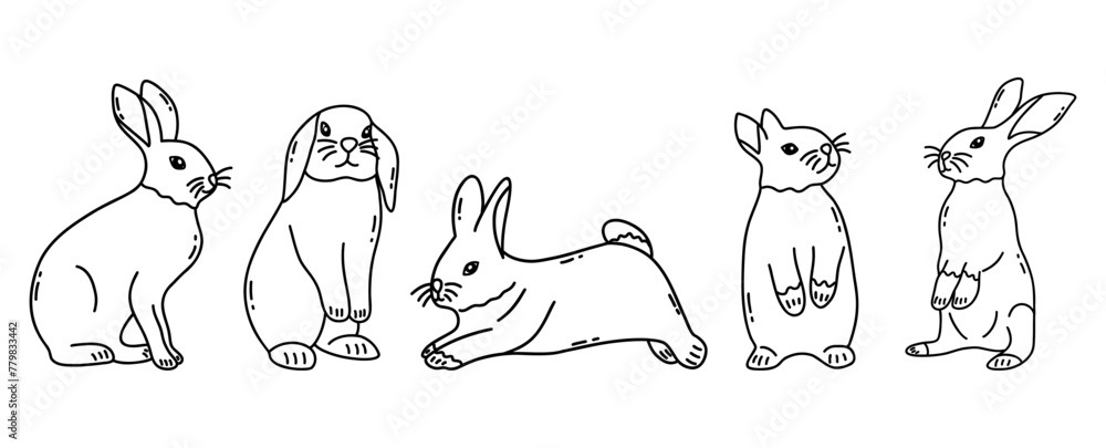 Set of cute hares. Adorable rabbits, wild forest animal. Easter bunnies group. Black and white vector isolated illustration hand drawn doodle clip art