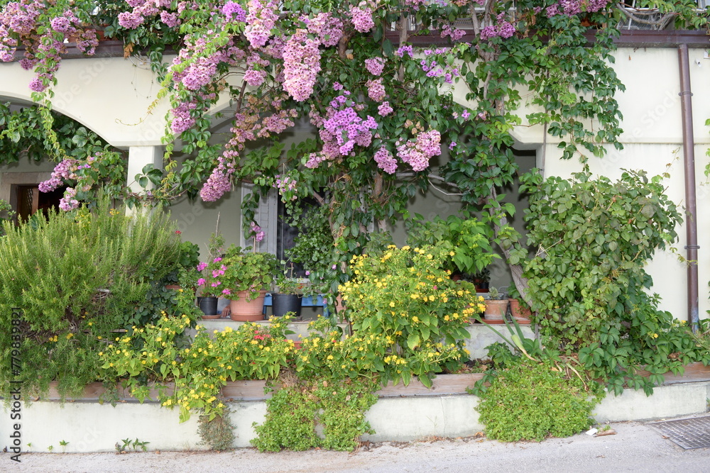 Botanic garden with flowers floral decoration. Botanic garden with flowers floral decoration.