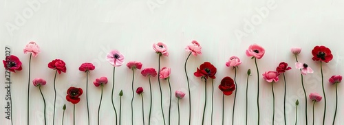 Colorful flowers arranged on a white background.