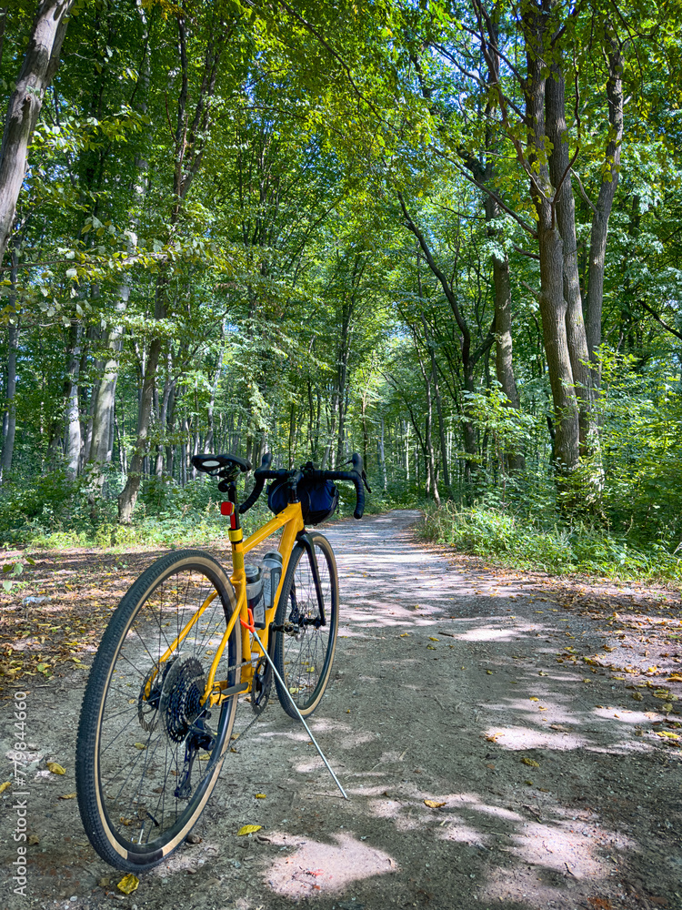 Fototapeta premium Gravel bicycle in the city park on the summer season
