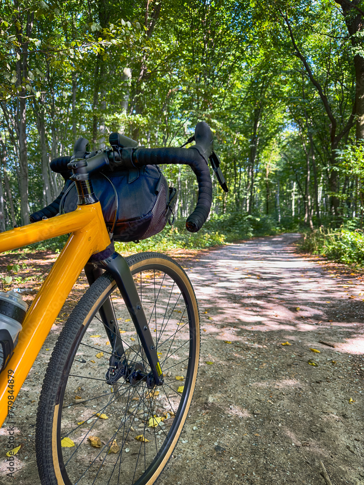 Fototapeta premium Gravel bicycle in the city park on the summer season