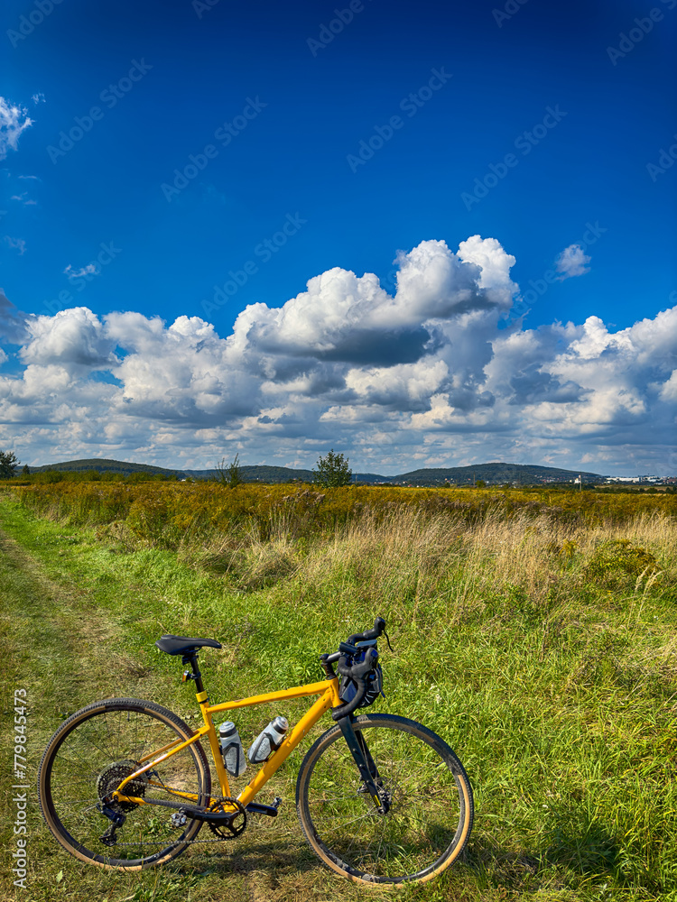 Gravel bicycle in the city park on the summer season