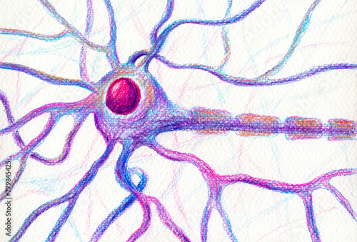 A motor neuron brain cell, hand drawn illustration showing neuron body with nucleus, dendrites and axon.