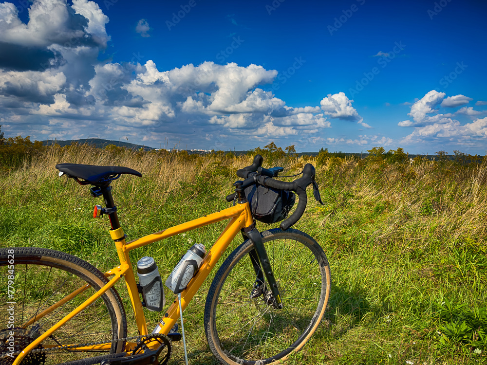 Gravel bicycle in the city park on the summer season Gravel bicycle in the city park on the summer season