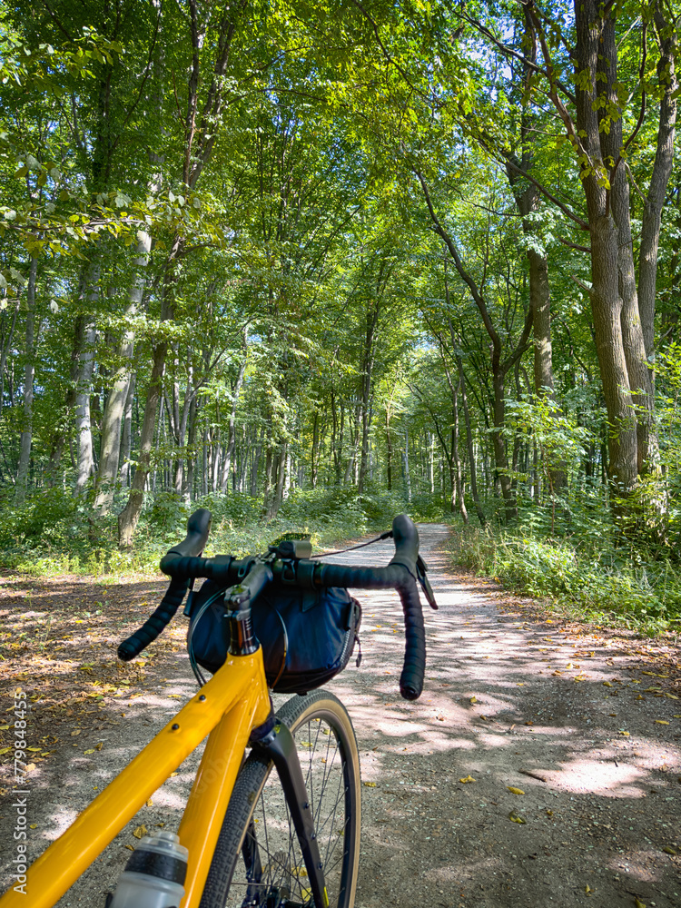 Gravel bicycle in the city park on the summer season Gravel bicycle in the city park on the summer season