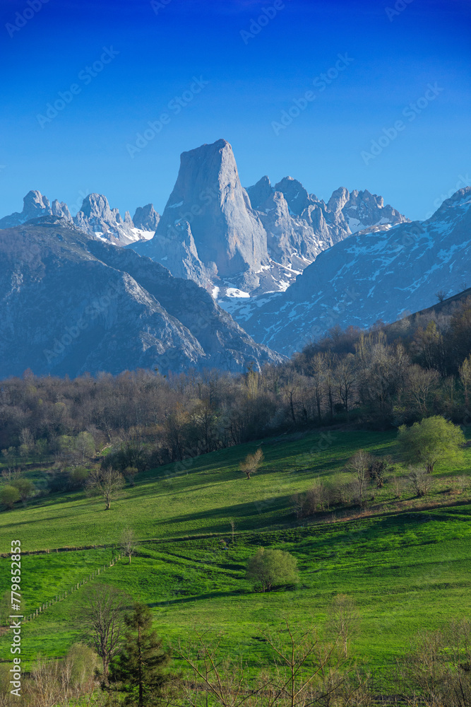 Naranjo de Bulnes