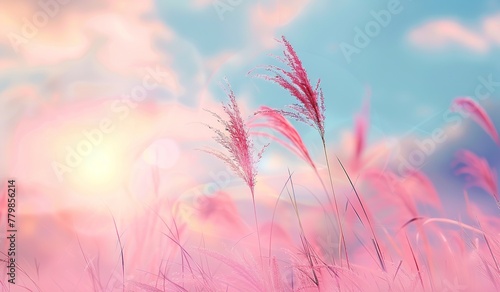 Sunset glow: a serene landscape of delicate grass illuminated by the soft light of the setting sun