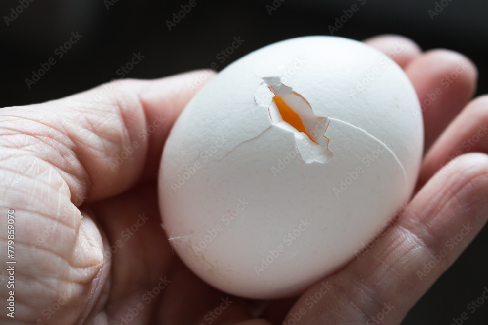 Cracked egg close up. White eggshell with yellow yolk. Organic food concept. Broken egg. Raw egg with yolk. Chicken egg, isolated. Fragile things. Healthy food. Accident concept. Cracked egg close up. White eggshell with yellow yolk. Organic food concept. Broken egg. Raw egg with yolk. Chicken egg, isolated. Fragile things. Healthy food. Accident concept.