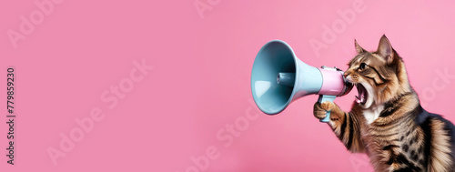 Cat screams into a megaphone on a pink background. Pet with a loudspeaker. Creative concept banner for advertisement design.Generative AI.