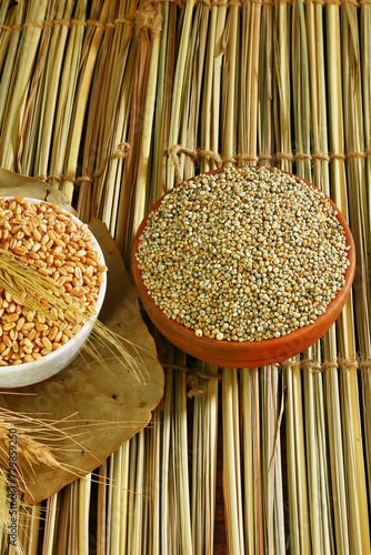 Bajra or pearl millet, Indian Mota anaj