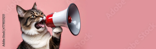Cat screams into a megaphone on a pink background.
Pet with a loudspeaker. Creative concept banner for advertisement design.Generative AI.