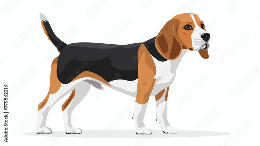 Colorful flat illustration of beagle. Dog flat icon.