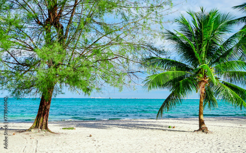Beach in Sihanoukville. Palm trees and blue sea © Liubov