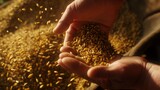 Harvest Hands: Grain's Embrace
