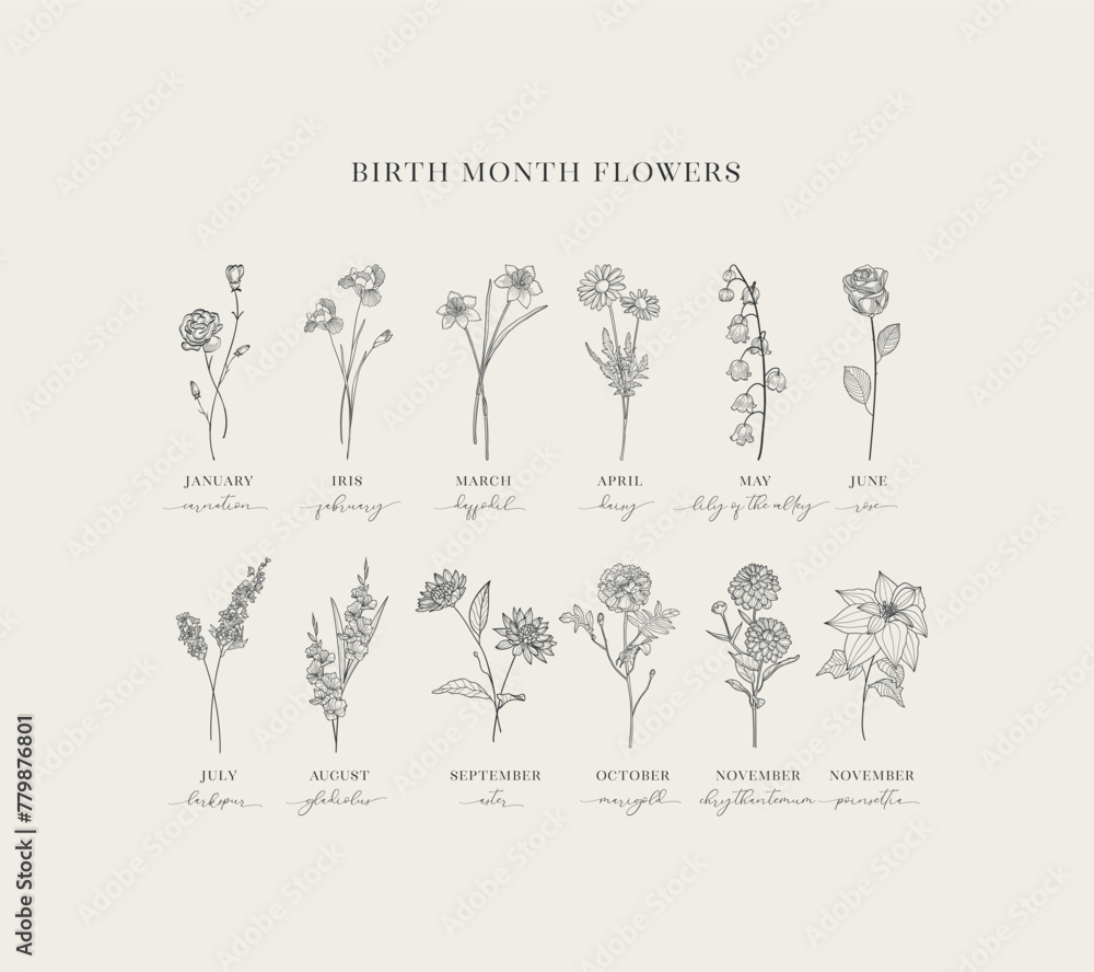 Herbs and florals, Floral Decorative Design Element. Vector Graphics.