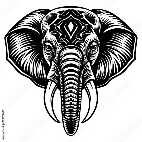 Symmetrical Elephant Head Vector Illustration with Decorative Elements 