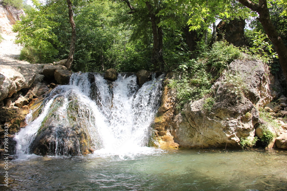 waterfall in the forest waterfall in the forest