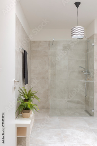 Modern bathroom interior with shower and glass partition. On the right two small plants.