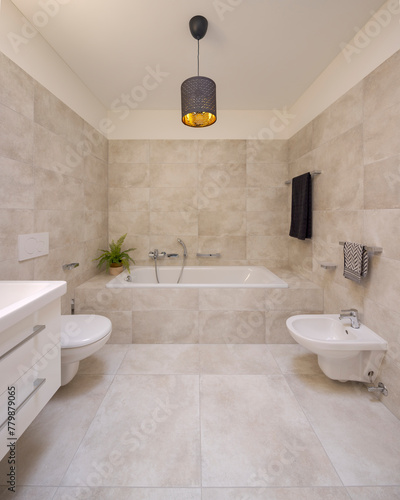 Interior of large modern bathroom with bathtub.