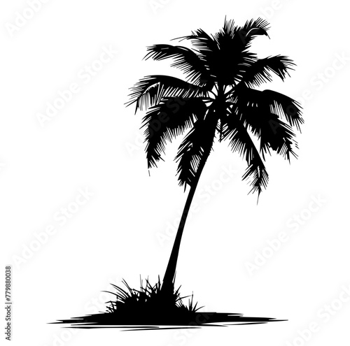 Tropical Palm Trees  Coconut palm tree icon