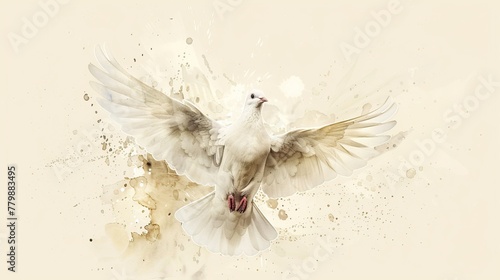 Watercolor dove representation of the holy spirit