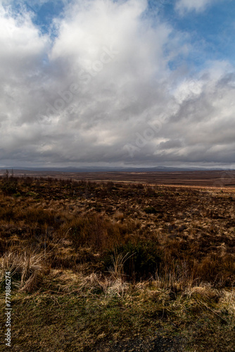 Wild remoteness at Crask photo