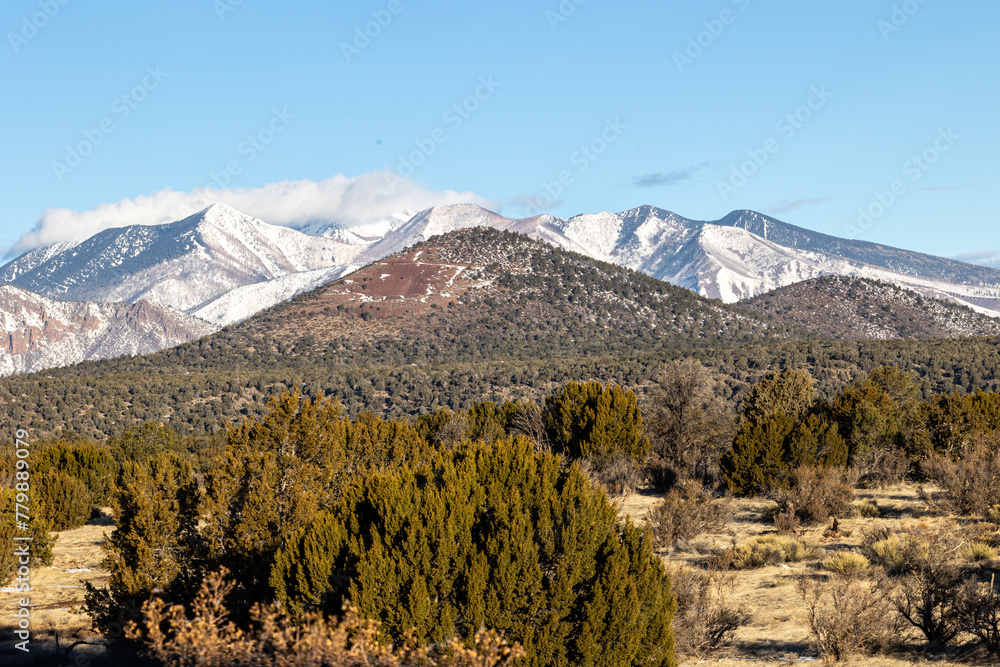 snowy mountains in Arizona this past Feburary
