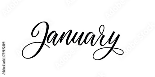 January - Handwritten inscription in calligraphic style on a white background. Vector illustration