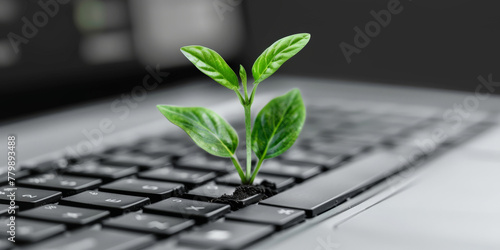 A small green plant growing on  keyboard, eco Technology  photo