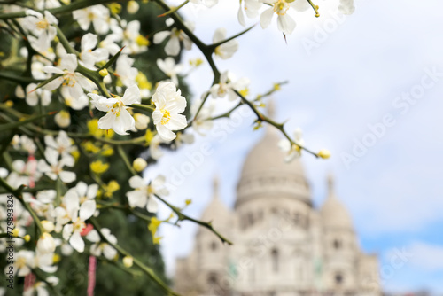 Flowers of citrus trifoliata tree with green leaves against a blue sky and Basilique du Sacre-Cour