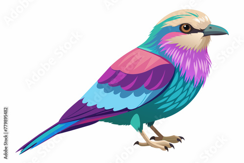 Lilac breasted roller vector illustration photo