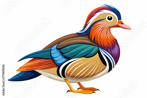 mandarin duck two legs vector illustration