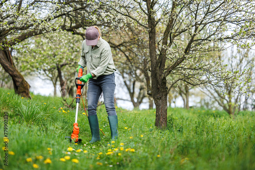 Woman is cutting grass by string trimmer in garden. Mowing lawn in orchard. Spring gardening photo