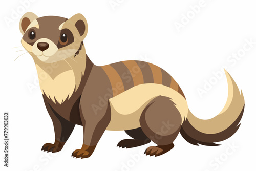 Ferret vector design on white background.