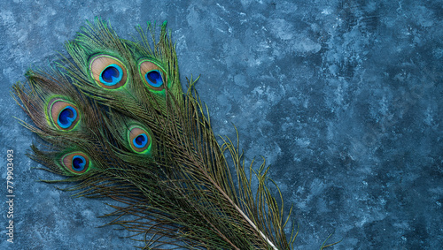 Peacock feathers on the table with copy space