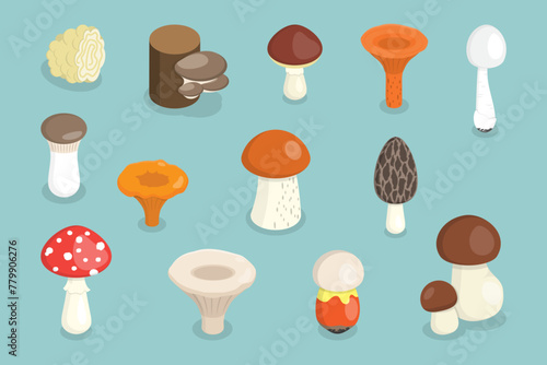 3D Isometric Flat Vector Set of Mushrooms, Fungus Plants