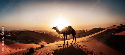 illustrazione di paesaggio desertico con dune di sabbia e cammello al calar del sole photo