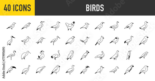 Birds icons set. Such as heron, peacock, crane, duck, flamingo, avocet, eagle, falcon, hen, humming, kingfisher, kiwi, ostrich, owl, parrot, penguin, pigeon, raven, sparrow vector icon illustration.
 photo